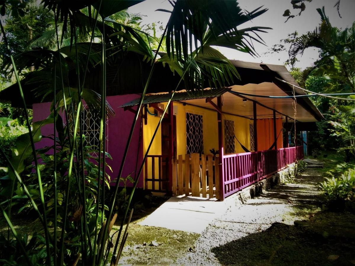 Cabinas Algebra Cahuita Exterior foto